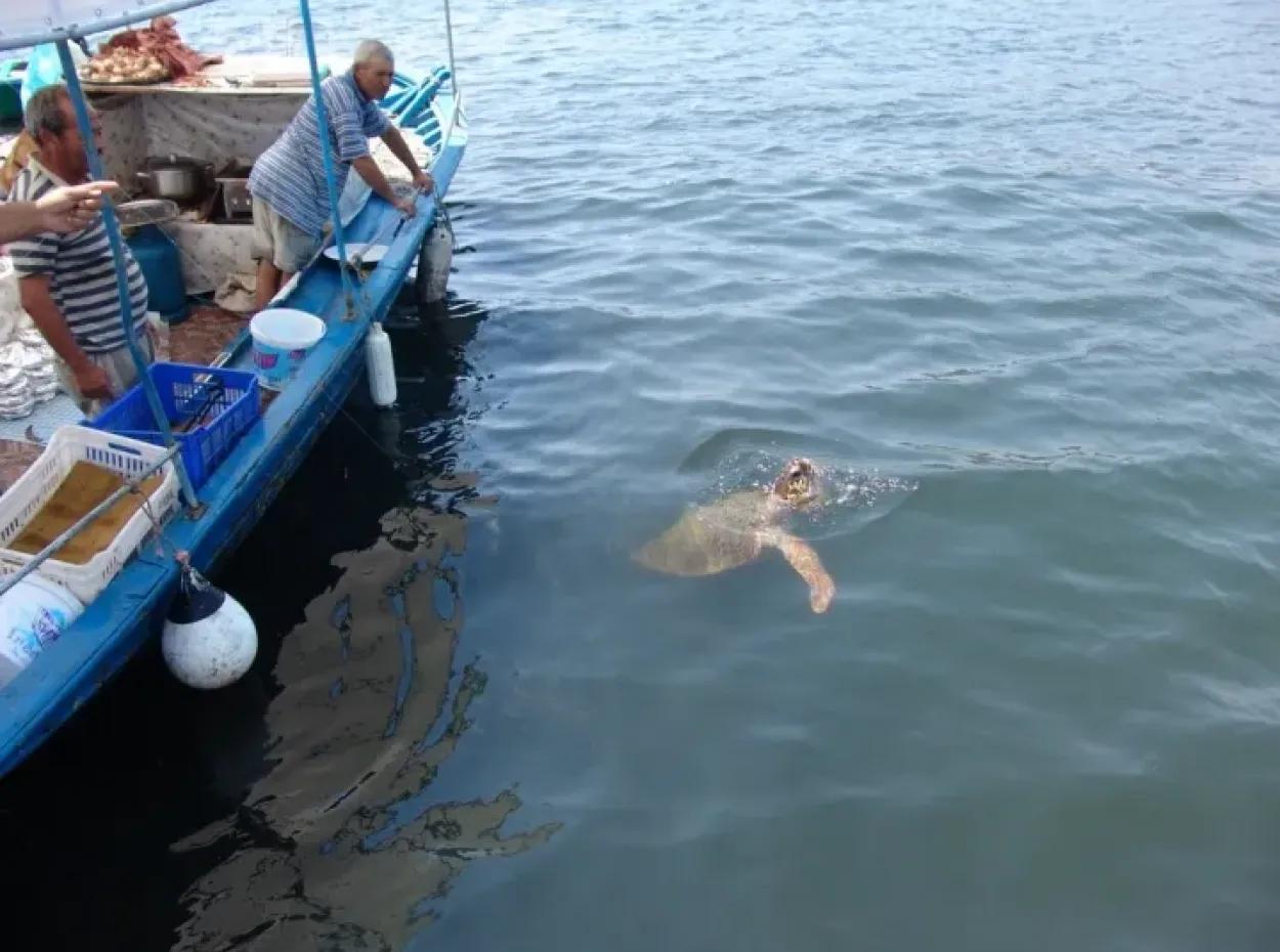Dalyan Caretta Caretta Tekne Turu